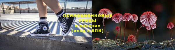 наркотики Бородино