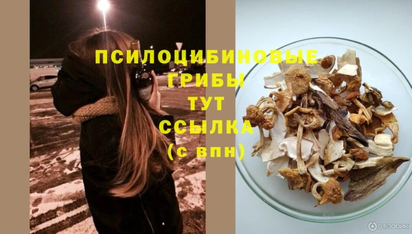 наркотики Бородино