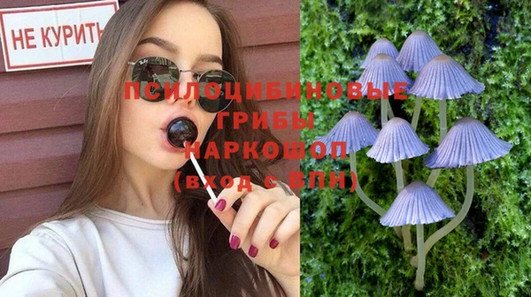 PSILOCYBIN Бронницы